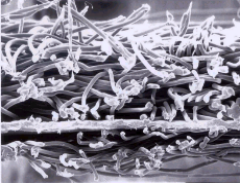 J9集团国际(中国)-官方网站