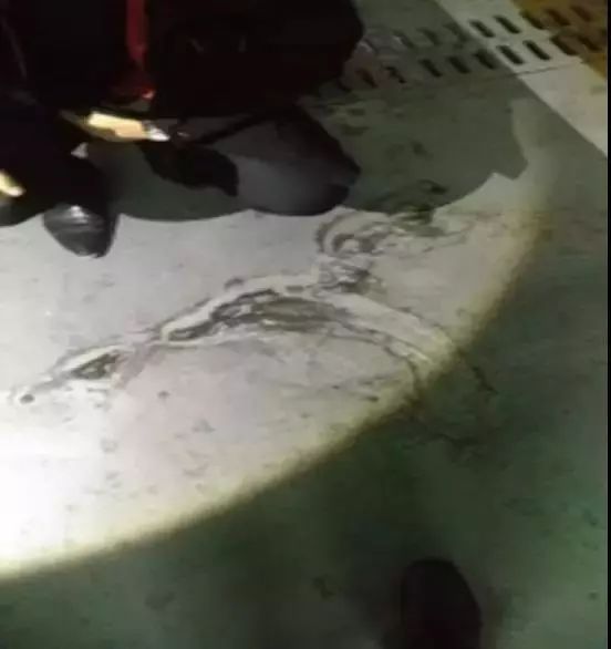 J9集团国际(中国)-官方网站