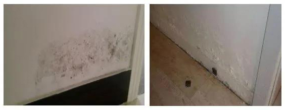 J9集团国际(中国)-官方网站