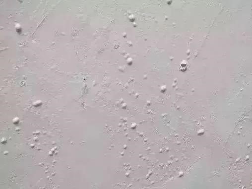 J9集团国际(中国)-官方网站