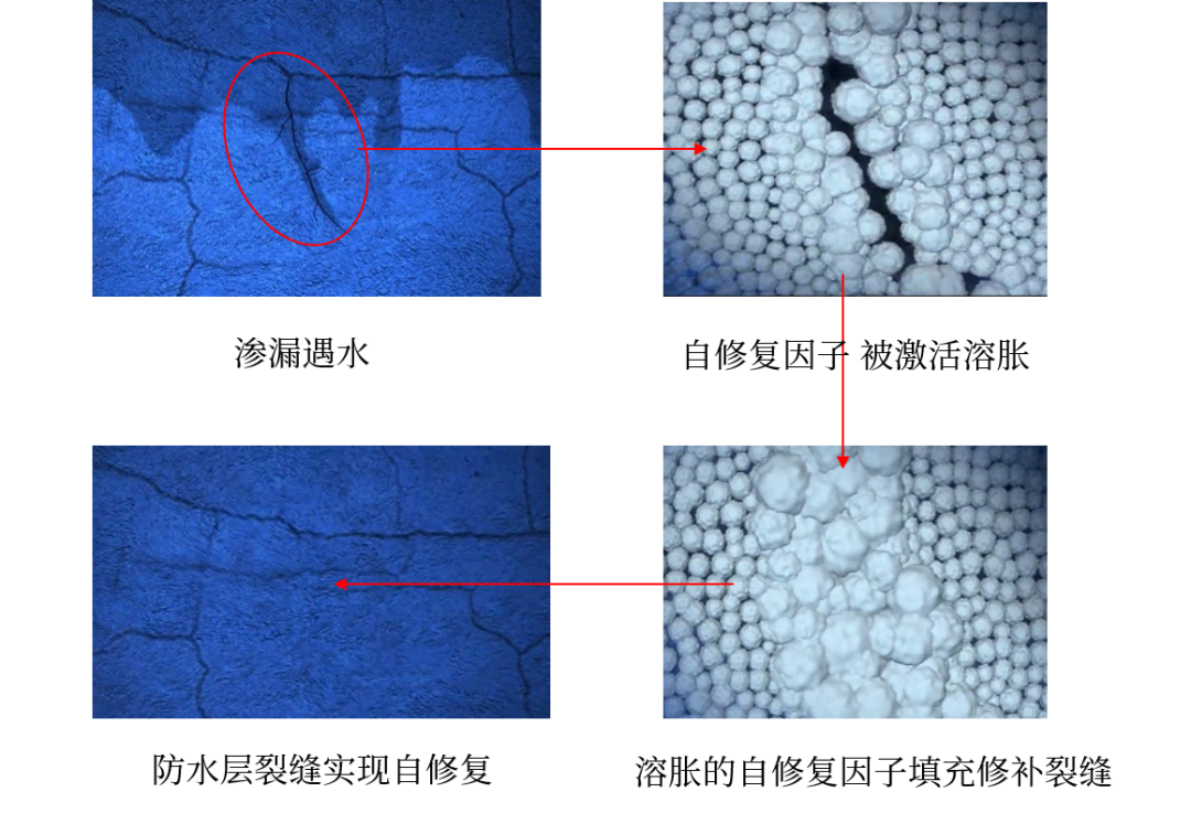 J9集团国际(中国)-官方网站